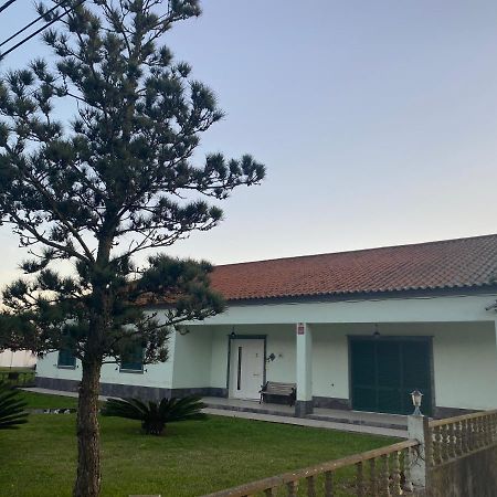 Green Tropical House Ponta Delgada المظهر الخارجي الصورة