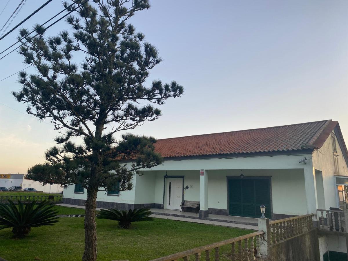 Green Tropical House Ponta Delgada المظهر الخارجي الصورة