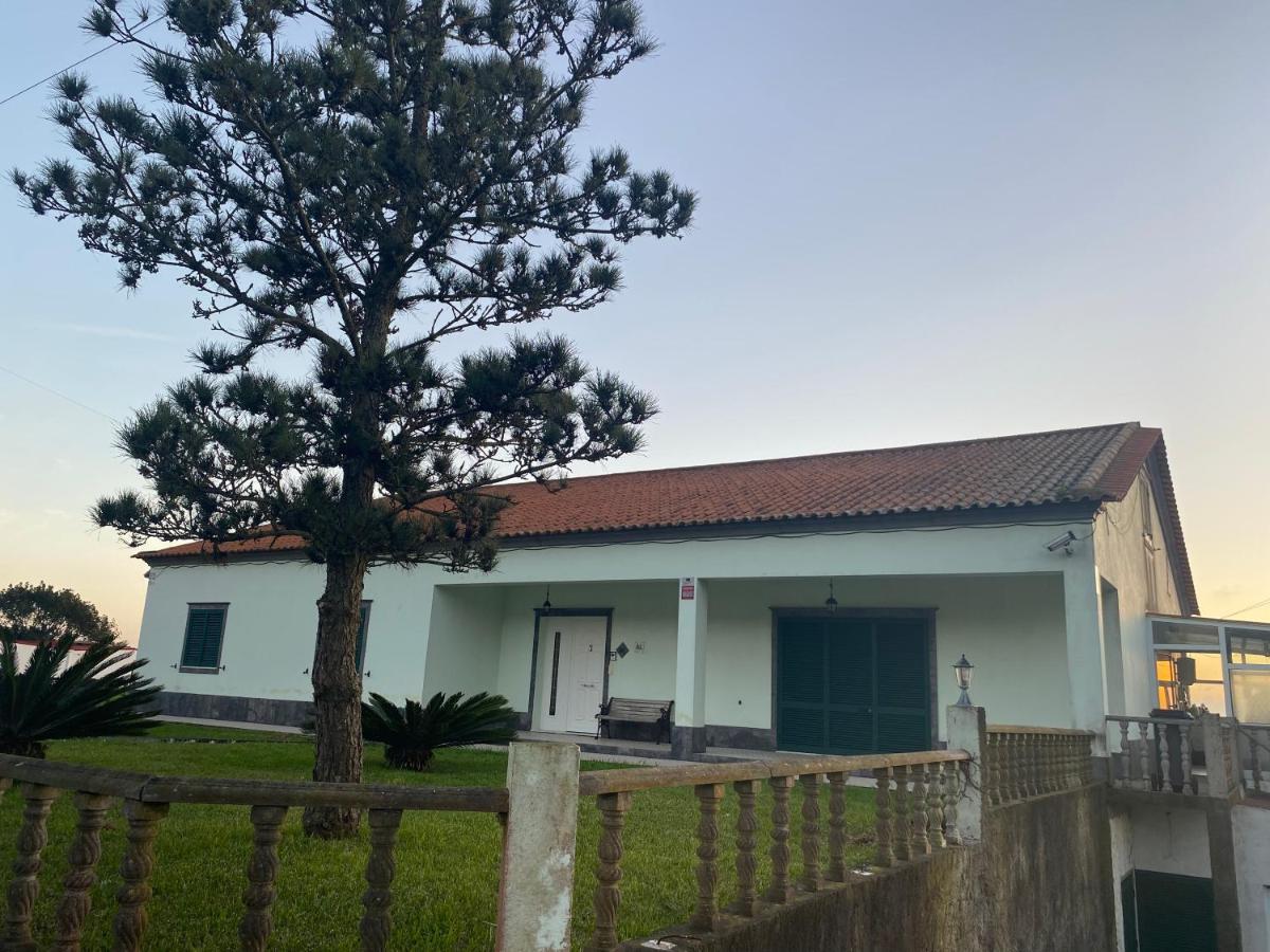 Green Tropical House Ponta Delgada المظهر الخارجي الصورة